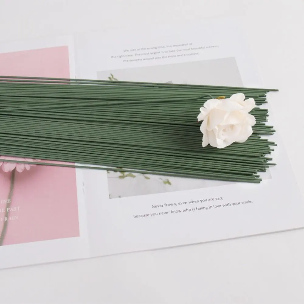 100pcs 2mm Artificial Flower Stem Plastic Cover Flower Vase Green Flower Stem Florist Metal Core Artificial Plant Stick
100pcs 2mm Artificial Flower Stem Plastic Cover Flower Vase Green Flower Stem Florist Metal Core Artificial Plant Stick