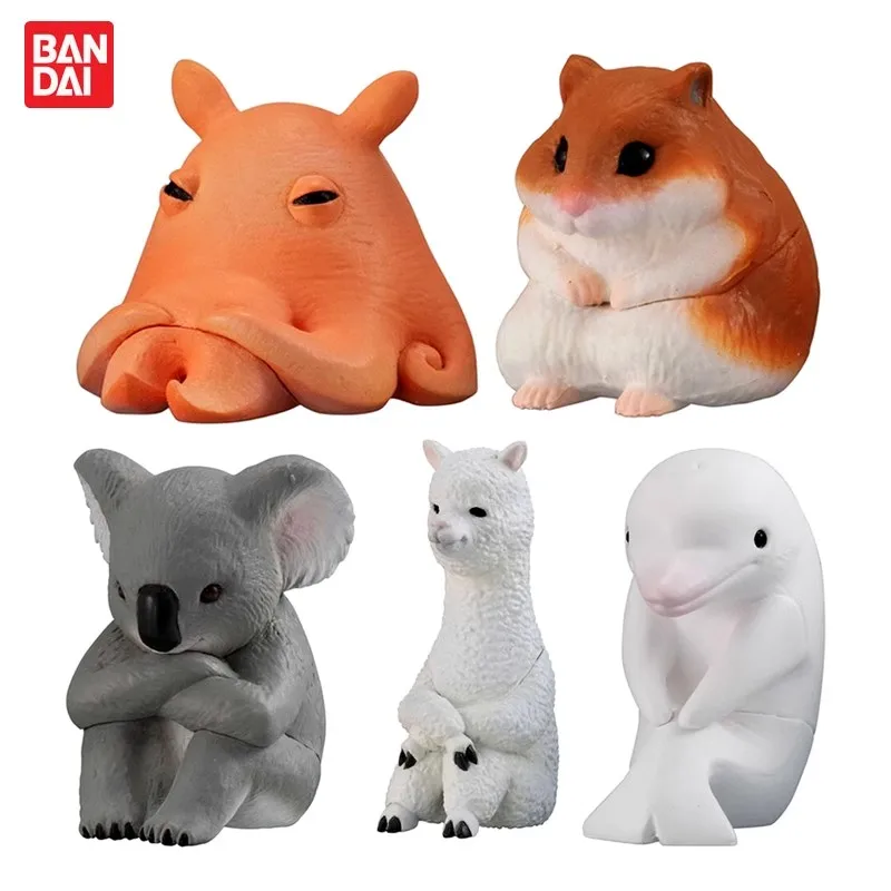 Bandai Original 5Pcs Gashapon メンダコ まちぼうけ12 Toys For Kids Gift Collectible Model Ornaments
Bandai Original 5Pcs Gashapon メンダコ まちぼうけ12 Toys For Kids Gift Collectible Model Ornaments