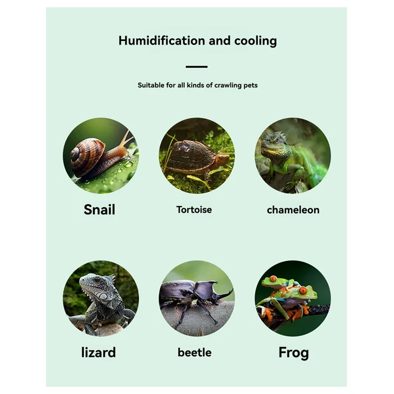 AD-Desktop Pet Humidifier Plant Moisturizing Household Humidifier Silent Large Fog Humidifier
AD-Desktop Pet Humidifier Plant Moisturizing Household Humidifier Silent Large Fog Humidifier
