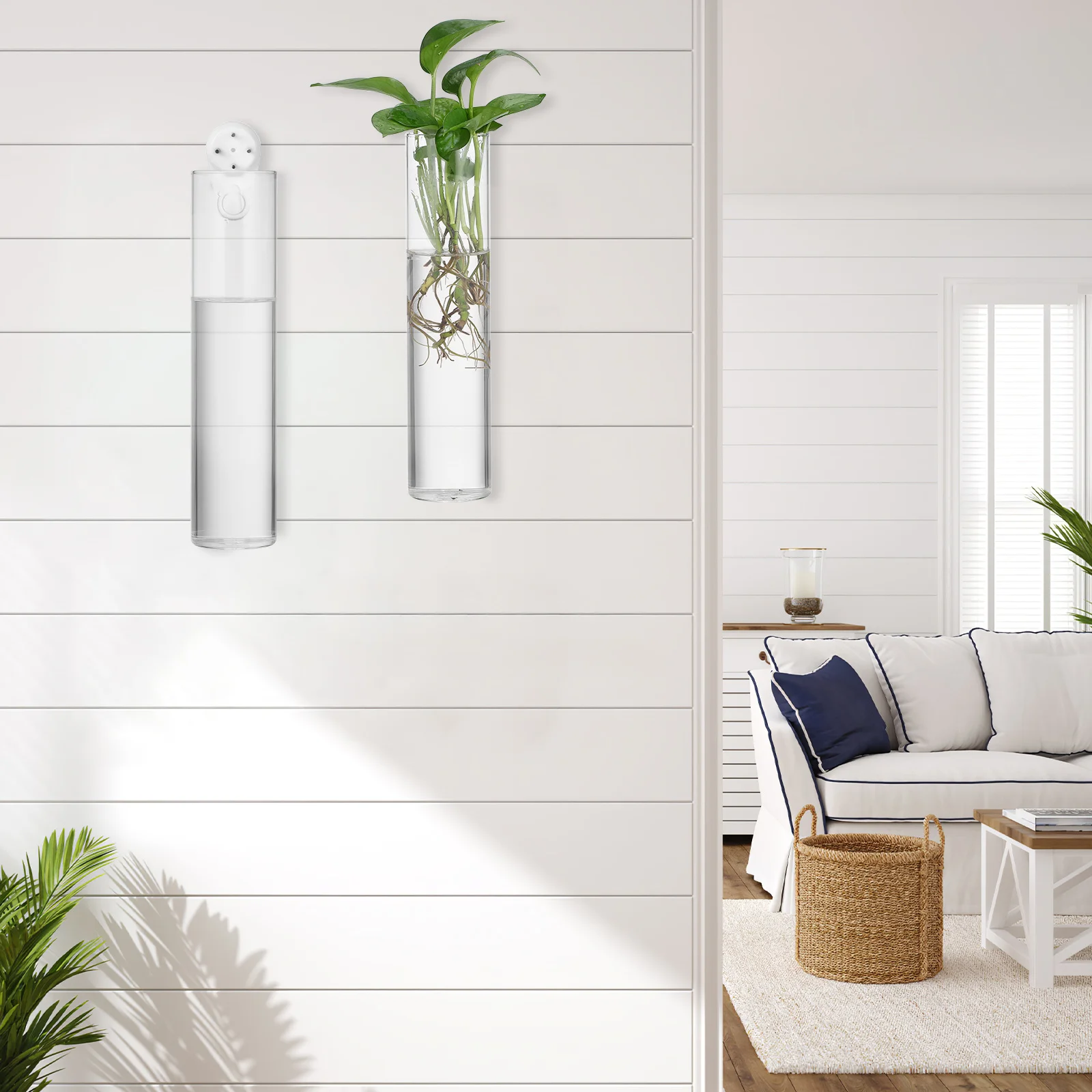 2Pcs Wall Mounted Flower Vase Cylinder Glass Wall for Indoor Plants Hanging Propagation Stations Modern Home Decor
2Pcs Wall Mounted Flower Vase Cylinder Glass Wall for Indoor Plants Hanging Propagation Stations Modern Home Decor