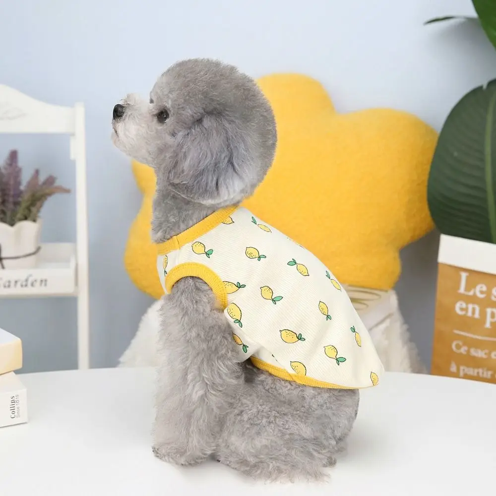 Comfortable Lemon Pattern Dog Clothes Cute Fashion Cat Vest Sleeveless Breathable Pet T-shirt Summer
Comfortable Lemon Pattern Dog Clothes Cute Fashion Cat Vest Sleeveless Breathable Pet T-shirt Summer