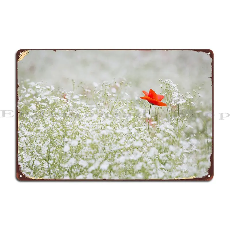 Klatschmohn Poppy Metal Plaque Poster Printing Living Room Kitchen Printed Retro Tin Sign Poster
Klatschmohn Poppy Metal Plaque Poster Printing Living Room Kitchen Printed Retro Tin Sign Poster