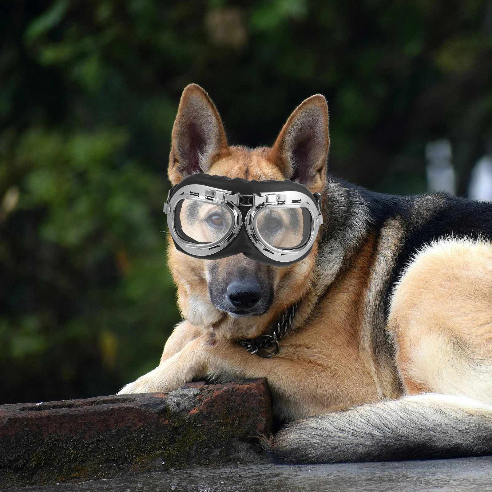 For Dogs Cats Lightweight Durable Funny Party Pet Party Glasses Glasses Sunglasses Transparent Pet Accessory 
For Dogs Cats Lightweight Durable Funny Party Pet Party Glasses Glasses Sunglasses Transparent Pet Accessory