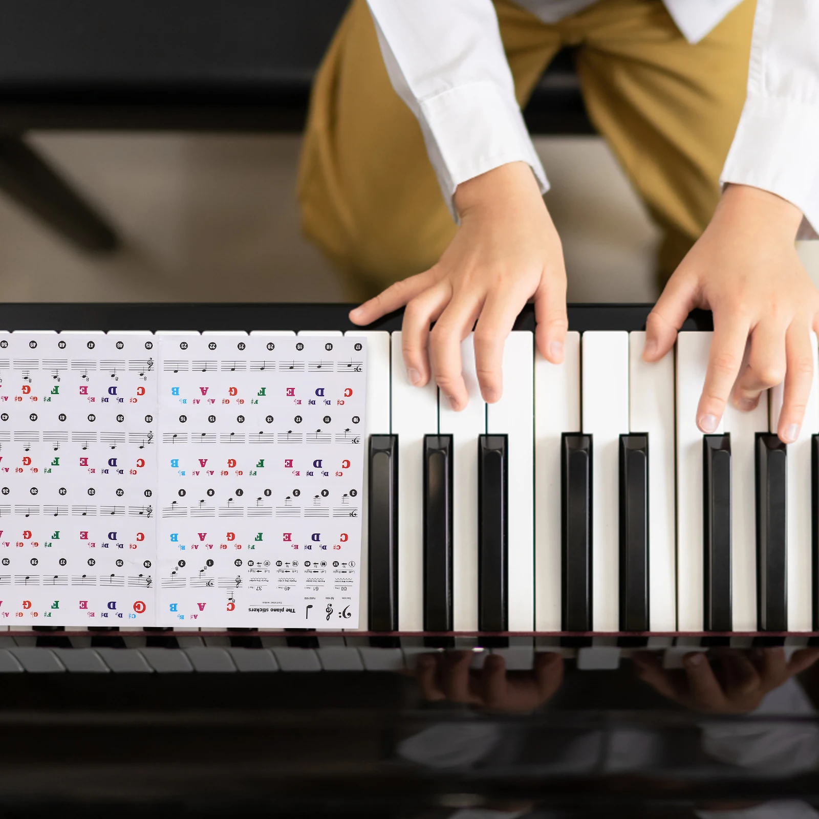 1 Sheet Piano Keyboard Stickers Adhesive Labels For Beginners Notes Strip Easy Peel Durable Music Instrument
1 Sheet Piano Keyboard Stickers Adhesive Labels For Beginners Notes Strip Easy Peel Durable Music Instrument