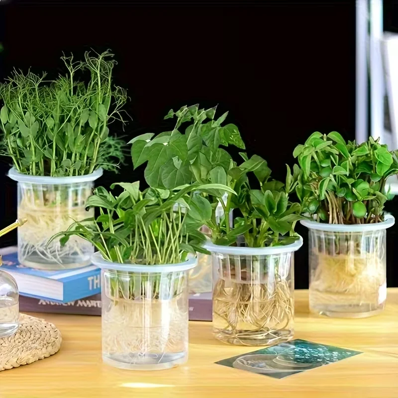 6/20PCS greenhouse Soilless Mesh Plant Grow Pots Net Basket Holder Vegetable Nursery Cup tray Sponge Hydroponic Colonization q1
6/20PCS greenhouse Soilless Mesh Plant Grow Pots Net Basket Holder Vegetable Nursery Cup tray Sponge Hydroponic Colonization q1