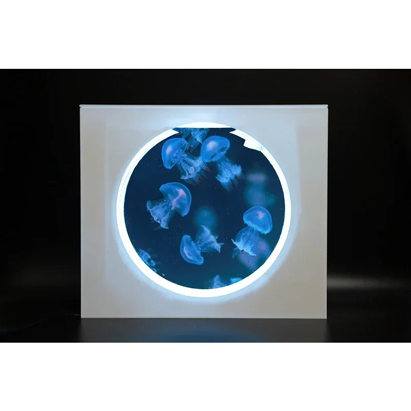 Customized Jellyfish Tank Small Tank Special Breeding Tank Culture Box Water Mother Box
Customized Jellyfish Tank Small Tank Special Breeding Tank Culture Box Water Mother Box