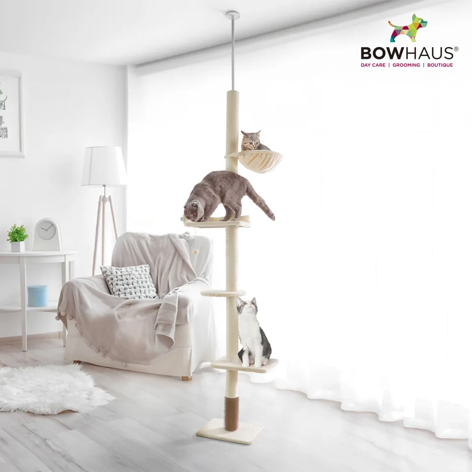 CAPHAUS Floor to Ceiling Cat Tree, Adjustable Height 104”-115” Multi-Tier Cat Climbing Tower w/ Itching Scratcher, Cozy Hammock, Interactive Playball, Platforms for Indoor Cats, Beige & Dark Grey
CAPHAUS Floor to Ceiling Cat Tree, Adjustable Height 104”-115” Multi-Tier Cat Climbing Tower w/ Itching Scratcher, Cozy Hammock, Interactive Playball, Platforms for Indoor Cats, Beige & Dark Grey