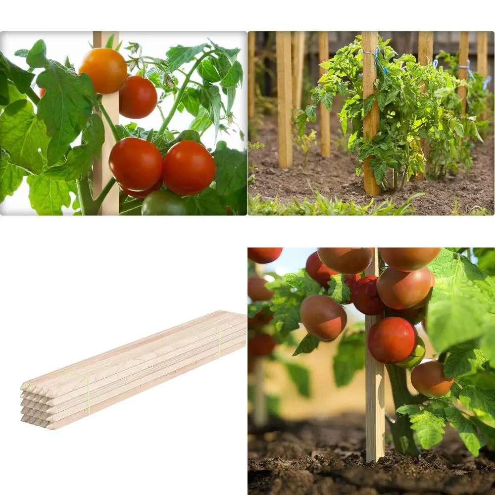 75-Piece Wooden Sign and Garden Post Stakes Set
75-Piece Wooden Sign and Garden Post Stakes Set