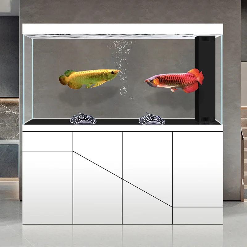 Fashion High-end Aluminum Alloy Arowana Tank Living Room Large Aquarium Ultra-white Glass Household Screen Partition
Fashion High-end Aluminum Alloy Arowana Tank Living Room Large Aquarium Ultra-white Glass Household Screen Partition