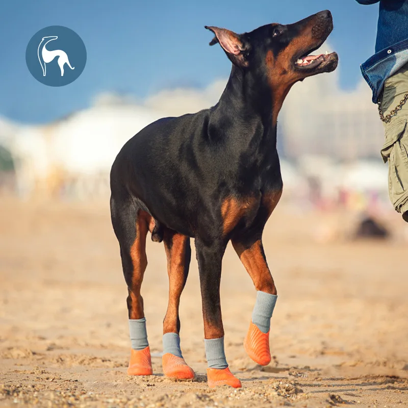 4PCS/Set Dog Paw Protecto Boots Waterproof Rain Winter Pet Snow Shoes Puppy Sock Shoes with Antislip Soft Hiking and Running
4PCS/Set Dog Paw Protecto Boots Waterproof Rain Winter Pet Snow Shoes Puppy Sock Shoes with Antislip Soft Hiking and Running