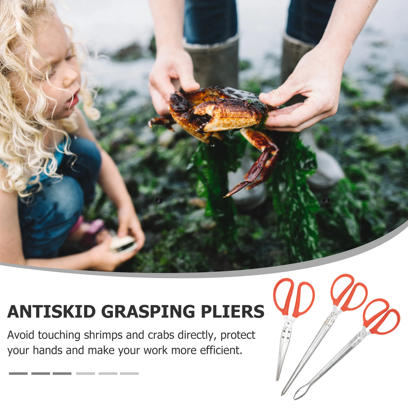 3 pcs StainlessSteel CrabClaws LobsterClamps FishingPliers Gripper Loach Multifunction CrabsTrap Clip Tool Practical
3 pcs StainlessSteel CrabClaws LobsterClamps FishingPliers Gripper Loach Multifunction CrabsTrap Clip Tool Practical
