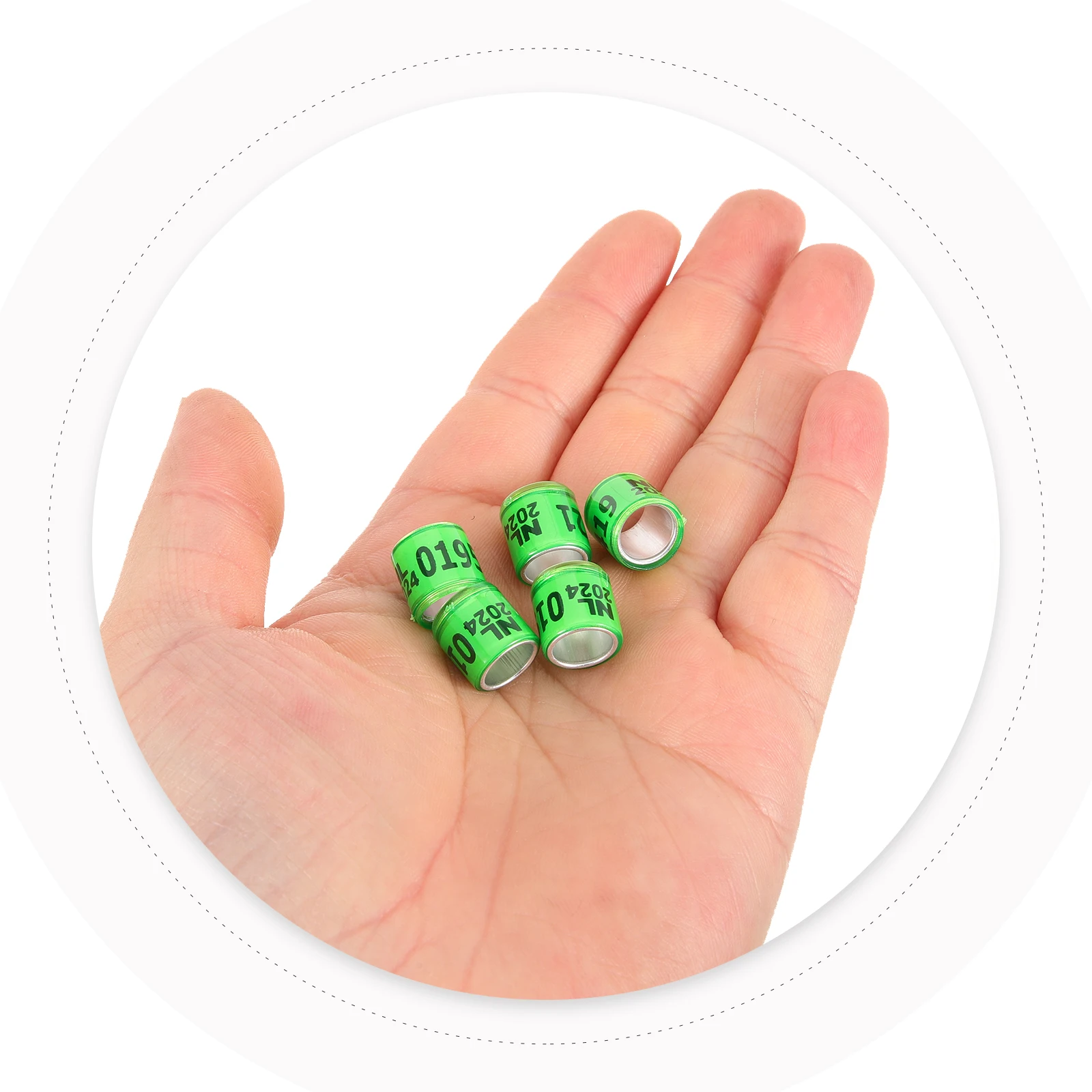100 Pcs Dove Leg Rings Racing Pigeon Anklet Birds Pigeons Breeding Green Aluminum Plastic
100 Pcs Dove Leg Rings Racing Pigeon Anklet Birds Pigeons Breeding Green Aluminum Plastic