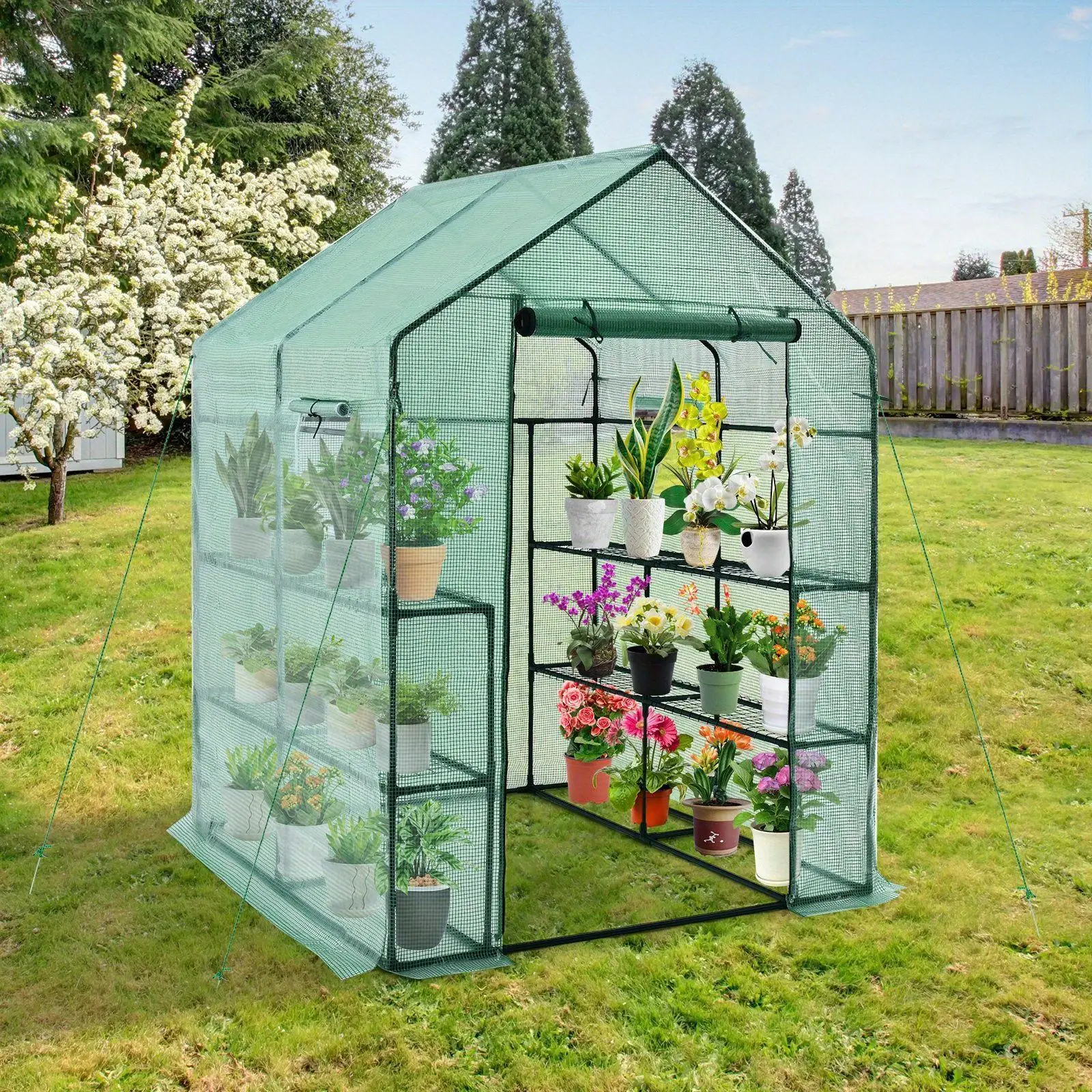 Walk-in Greenhouse Gardening w/Observation Windows 2Tier 8 Shelves
Walk-in Greenhouse Gardening w/Observation Windows 2Tier 8 Shelves