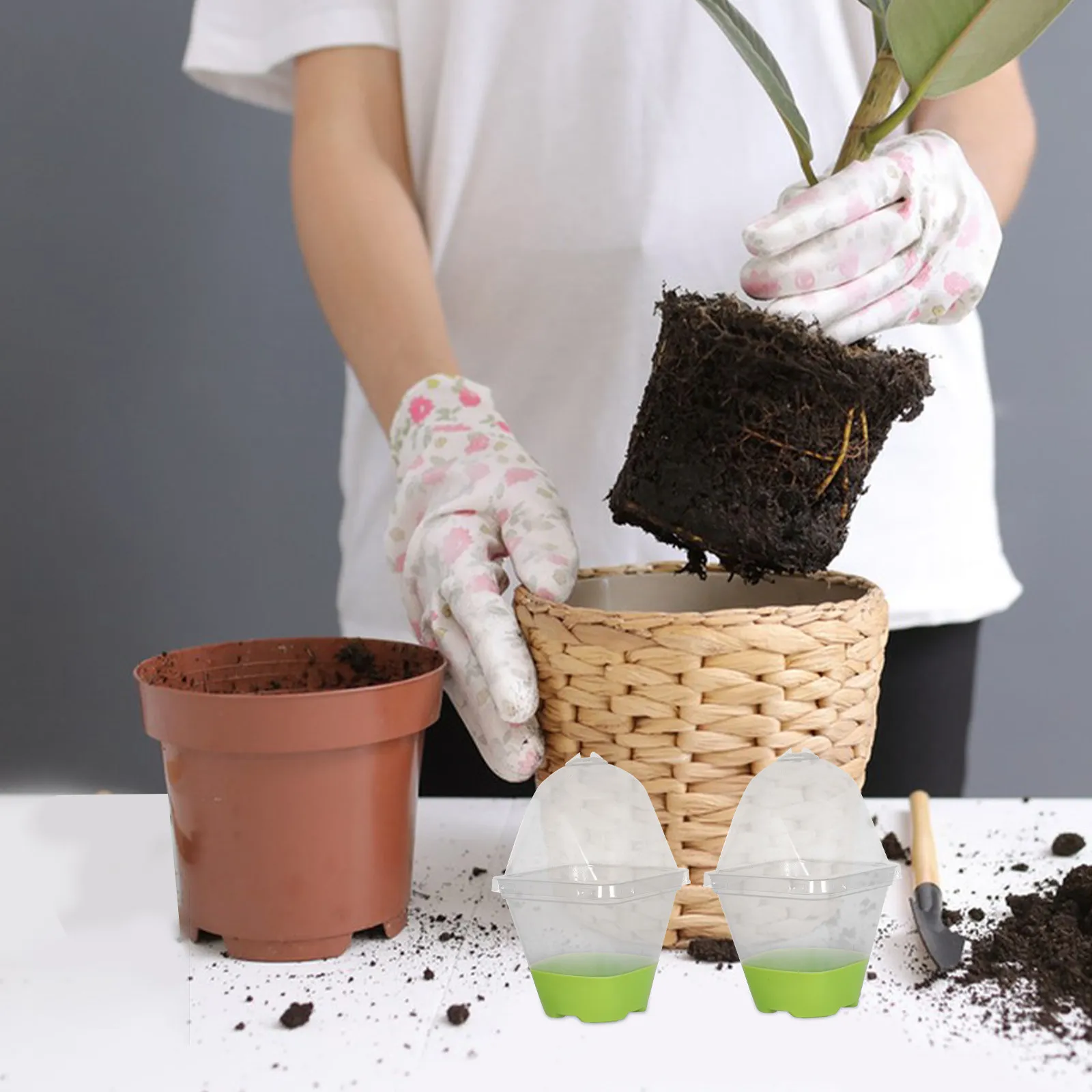 Набор из 6 прозрачных горшков для рассады с регулируемыми вентиляционными отверстиями, силиконовым основанием и прозрачными крышками для проращивания семян
Набор из 6 прозрачных горшков для рассады с регулируемыми вентиляционными отверстиями, силиконовым основанием и прозрачными крышками для проращивания семян