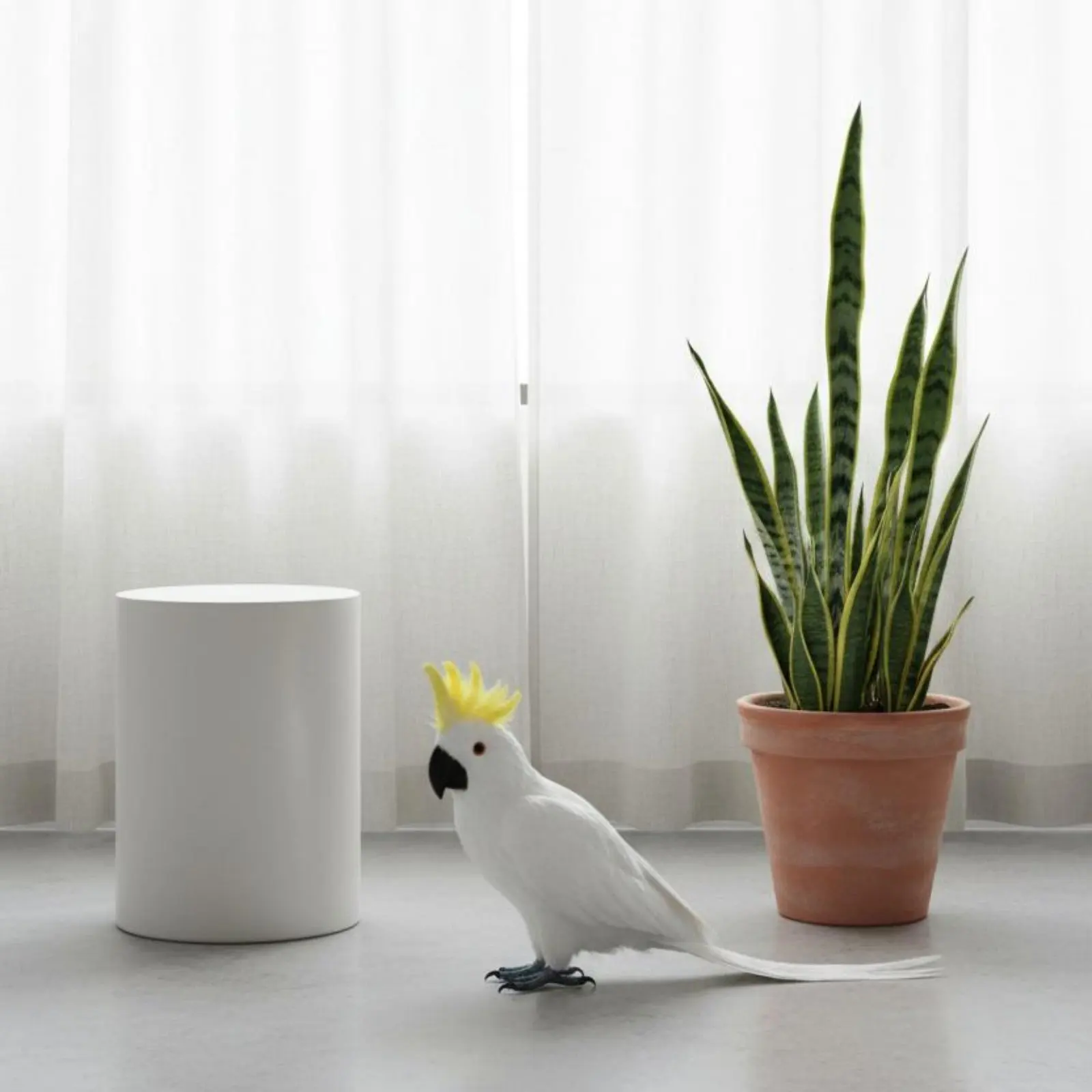 Simulation Parrot Realistic Design Feathered Parrot Model Avian Figurine Bright Hues House Decoration for Garden, Living Room
Simulation Parrot Realistic Design Feathered Parrot Model Avian Figurine Bright Hues House Decoration for Garden, Living Room