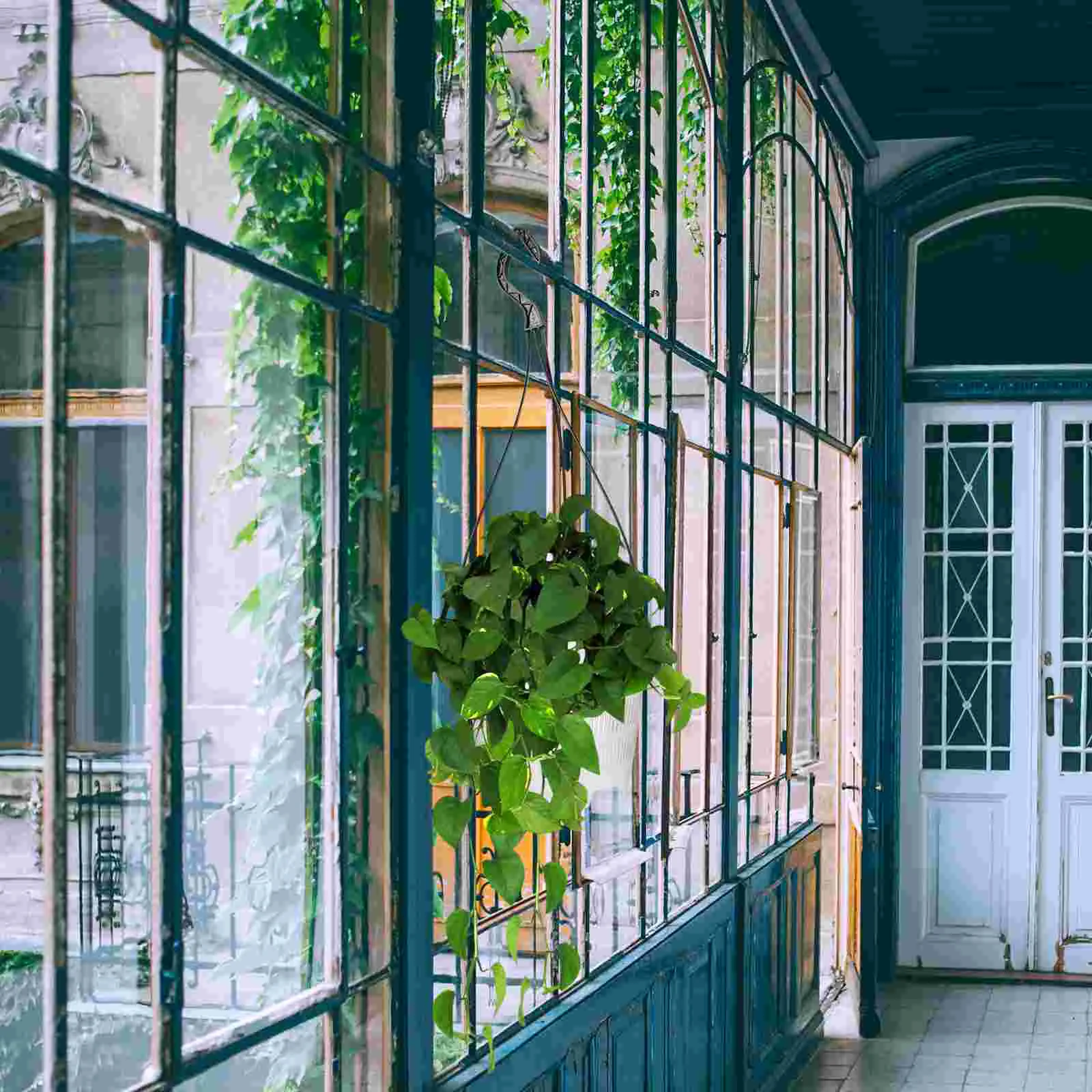 4 Sets chid Pot Plastic Hanging Flower Pots Large Size Transparent Design for Plants Balcony Garden Lightweight
4 Sets chid Pot Plastic Hanging Flower Pots Large Size Transparent Design for Plants Balcony Garden Lightweight