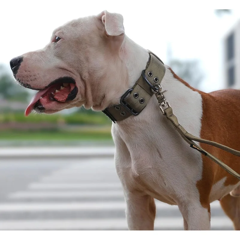 Adjustable Military Dog Collar Metal D-Ring and Buckle Working Dog Collar, Five-Level Adjustment for Medium and Large Dogs
Adjustable Military Dog Collar Metal D-Ring and Buckle Working Dog Collar, Five-Level Adjustment for Medium and Large Dogs