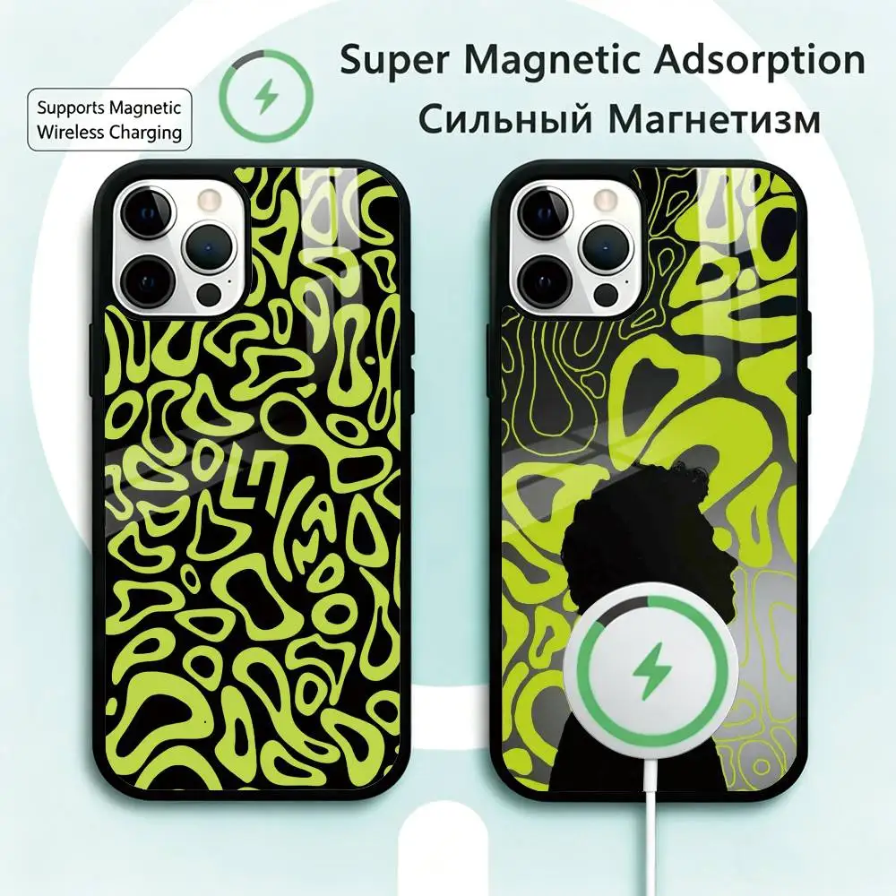 S-Sports L-Lando Norris Phone Case For iPhone17,16,15,14,13,12,11 Plus,Pro Magnetic Supports Magnetic Wireless Charging
S-Sports L-Lando Norris Phone Case For iPhone17,16,15,14,13,12,11 Plus,Pro Magnetic Supports Magnetic Wireless Charging