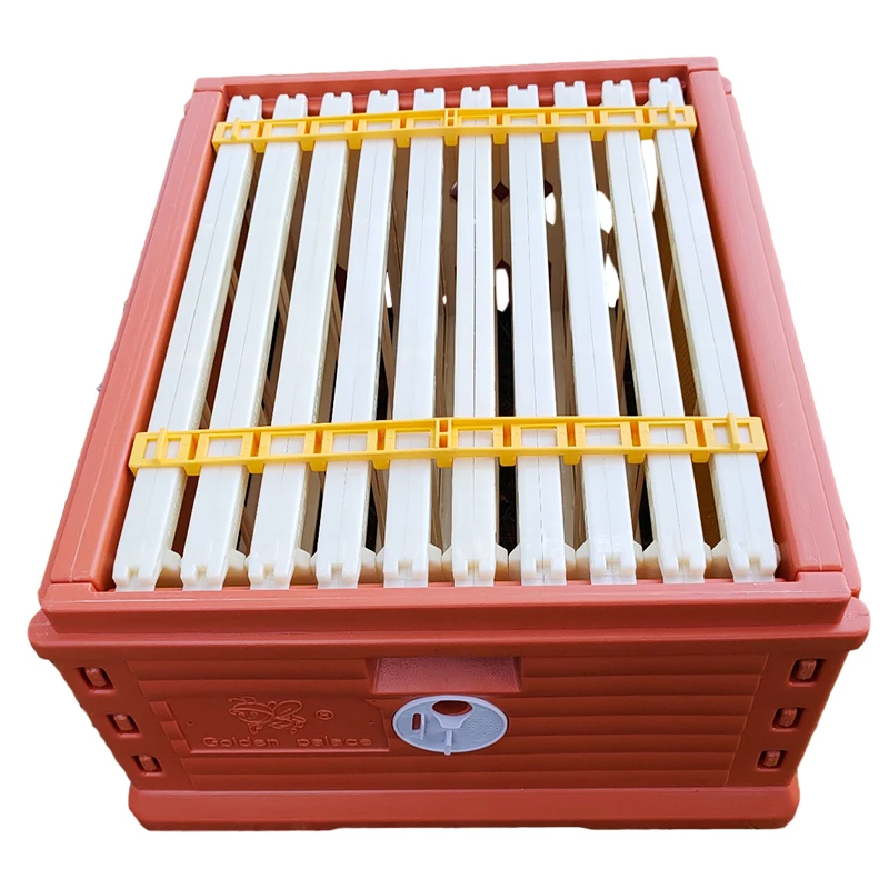 Beekeeping 10 Frame Insulated Beehive Double Layer Deep Plastic Insulated Beehive
Beekeeping 10 Frame Insulated Beehive Double Layer Deep Plastic Insulated Beehive