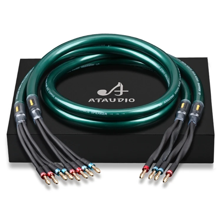 Hot Selling Good Quality OCC+silver-plated Nerve Wire Speaker Cable Audio Hifi Two-wire Split Speaker Cable
Hot Selling Good Quality OCC+silver-plated Nerve Wire Speaker Cable Audio Hifi Two-wire Split Speaker Cable