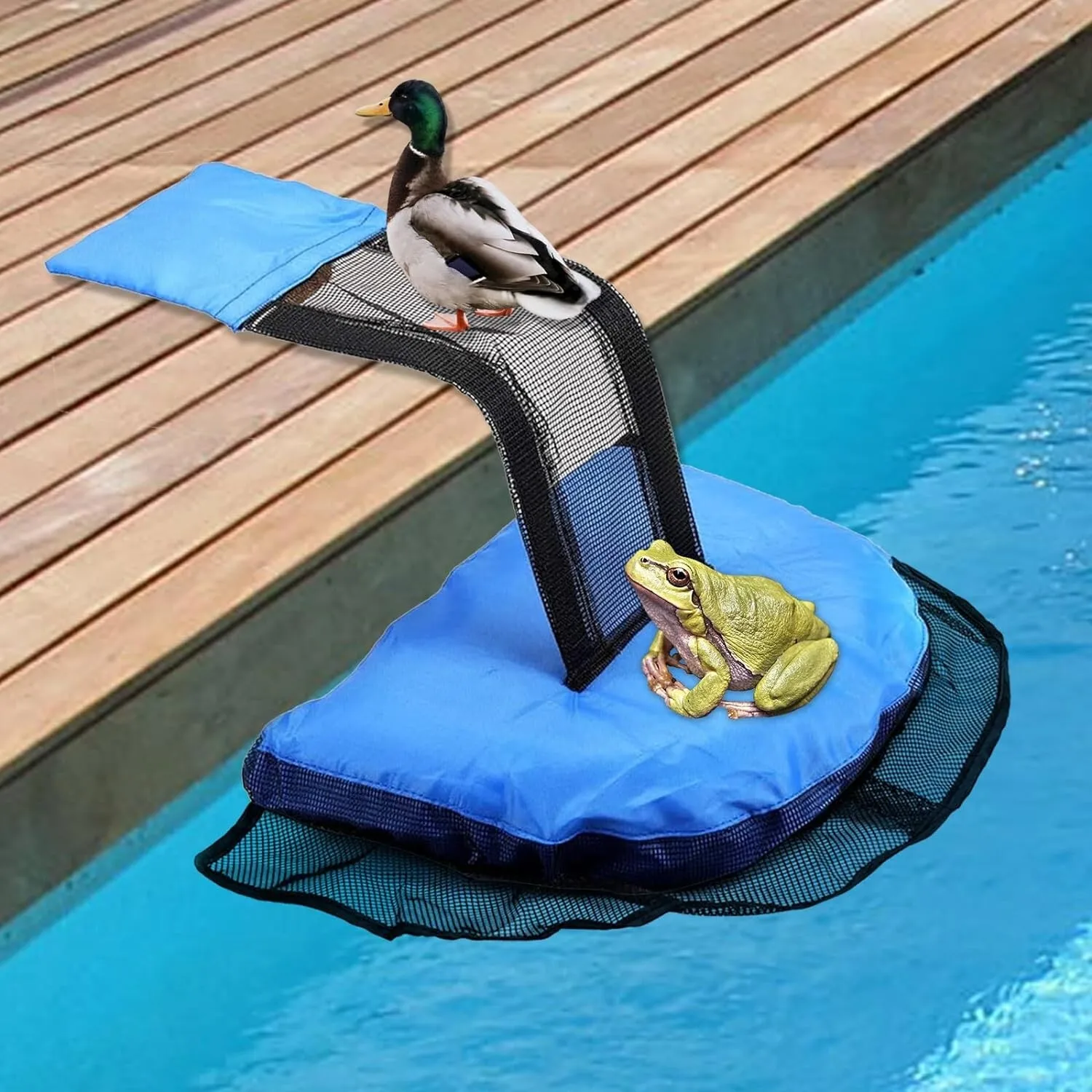 Animal Saving Escape Ramp Swimming Pool Floating Pad Rescue For Frog Bird Turtle
Animal Saving Escape Ramp Swimming Pool Floating Pad Rescue For Frog Bird Turtle