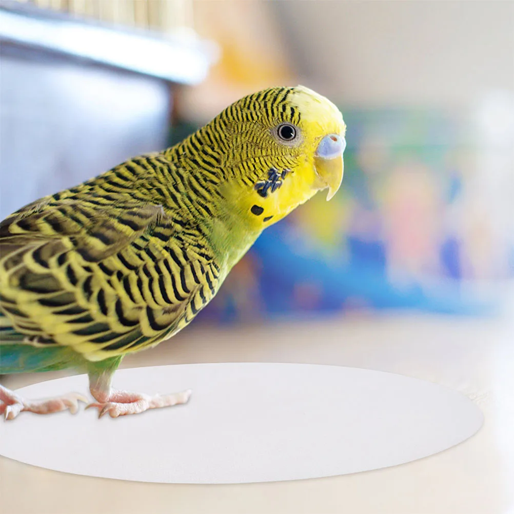 100 Sheets Disposable Bird Cage Paper Liner Bottom Pad Mats Bedding Accessories Thickened Absorbent Round Pet Cage
100 Sheets Disposable Bird Cage Paper Liner Bottom Pad Mats Bedding Accessories Thickened Absorbent Round Pet Cage