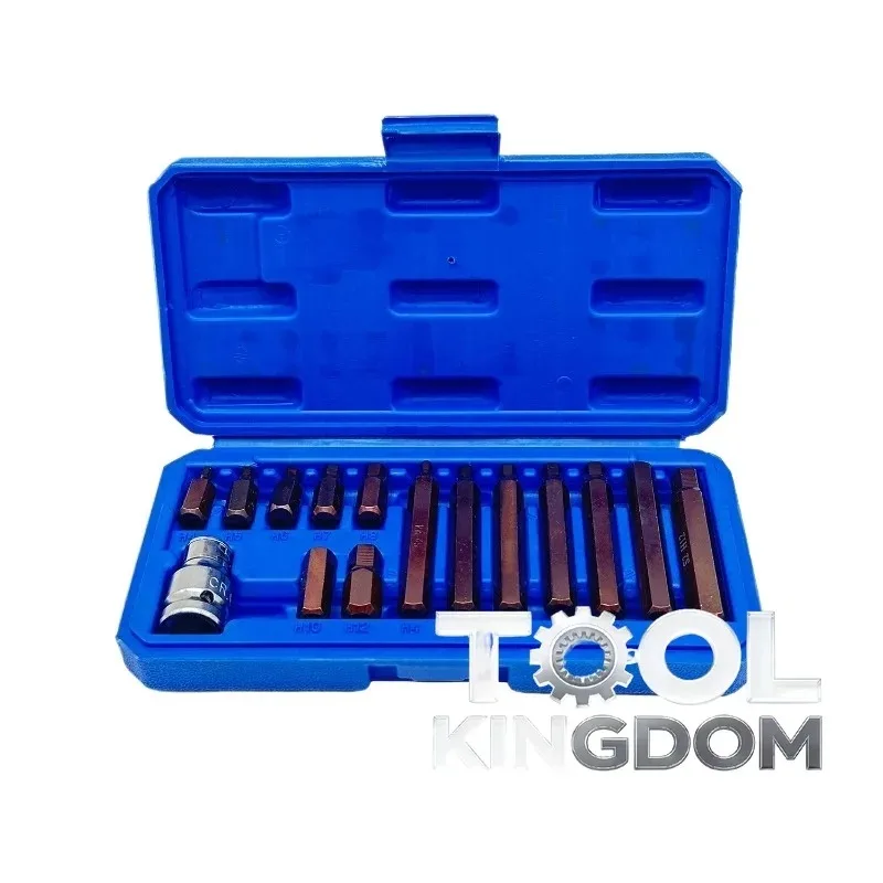 S2 Internal Hex Spline Hex 12-Point Torx Bit, 15/40 Star Bit Iron Box Set, Combination Screwdriver Auto Repair Tool
S2 Internal Hex Spline Hex 12-Point Torx Bit, 15/40 Star Bit Iron Box Set, Combination Screwdriver Auto Repair Tool