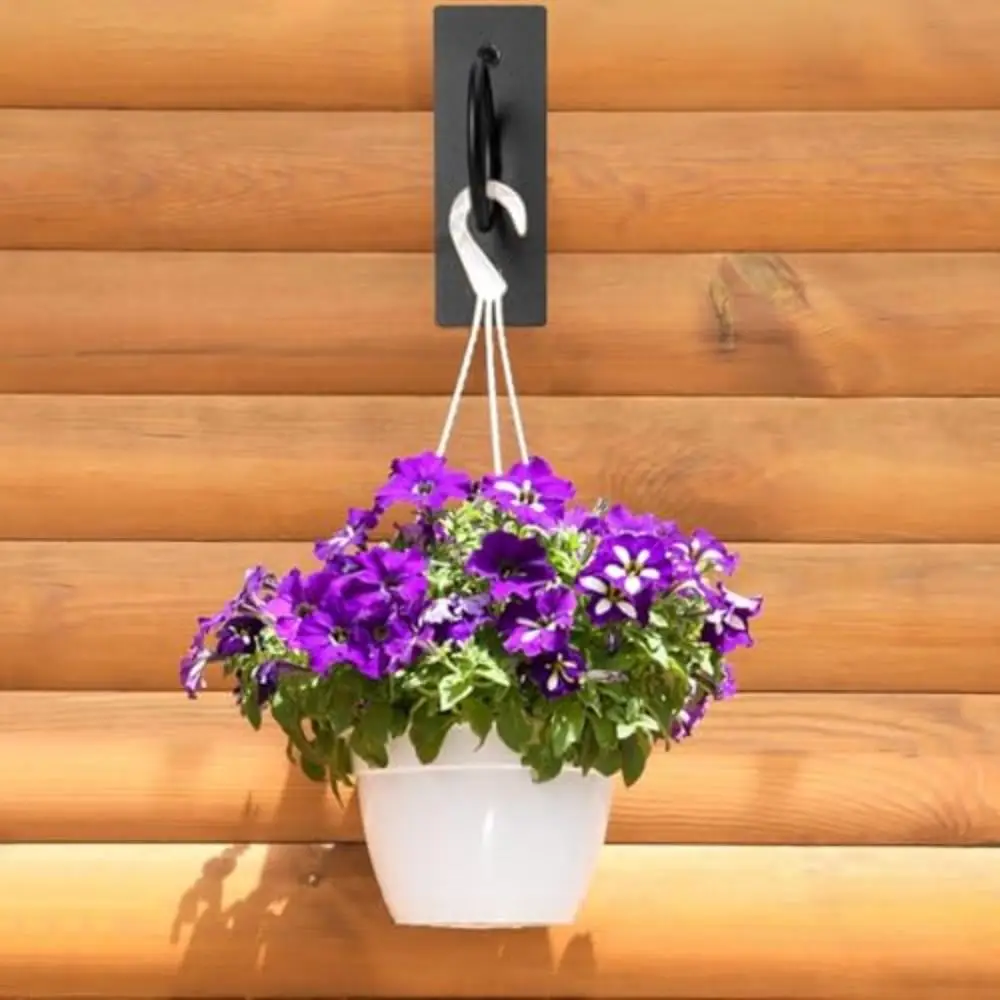304 Stainless Steel Wall Hanging Ceiling Hook Multifunction Multi-purpose Black Ring Rope Bracket Anti Rust Wall Mounted
304 Stainless Steel Wall Hanging Ceiling Hook Multifunction Multi-purpose Black Ring Rope Bracket Anti Rust Wall Mounted