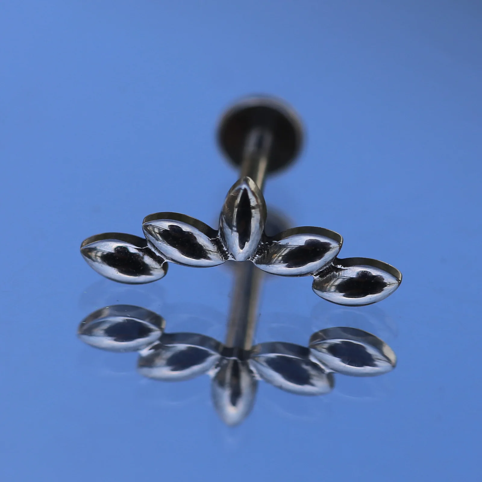 16G ASTM F136 Titanium Solid 100 Internal Thread Labret Stud Piercing Jewelry for Helix Cartilage Daith Conch Piercing
16G ASTM F136 Titanium Solid 100 Internal Thread Labret Stud Piercing Jewelry for Helix Cartilage Daith Conch Piercing