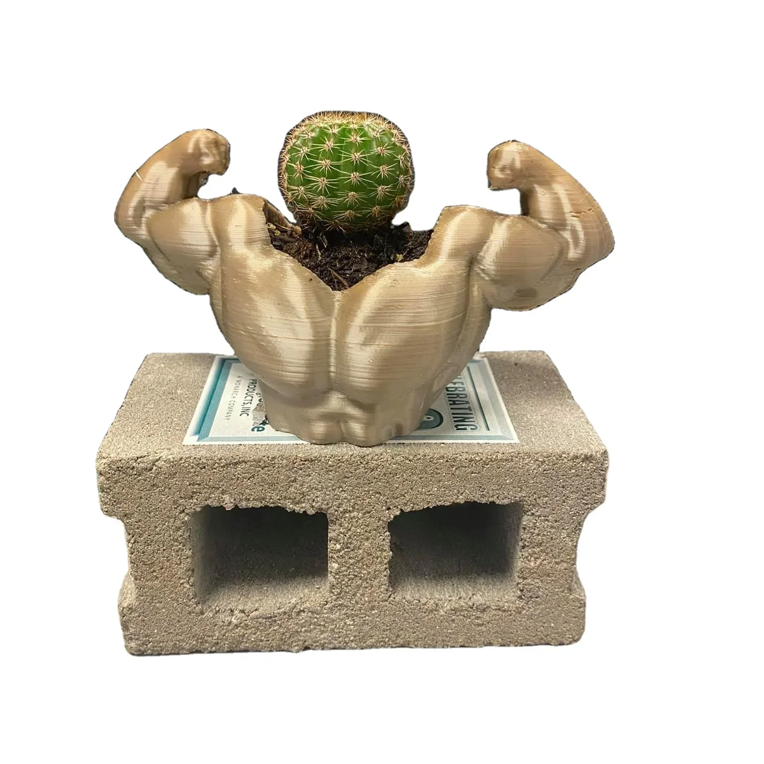 hot sale Creative Plant Pot Biodegradable Plastic Pots For Indoor Succulent Flower Plant Re-design Small Pots
hot sale Creative Plant Pot Biodegradable Plastic Pots For Indoor Succulent Flower Plant Re-design Small Pots