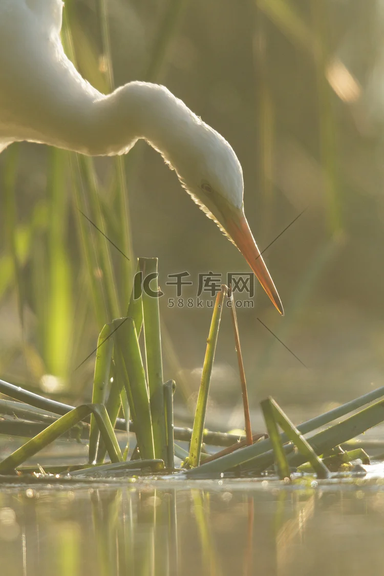 4pcs Rubber Tire Wheel Tyre for Tamiya XV01 XV02 TT01 TT02 PTG-2 WRC Hyundai i20 1/10 RC Rally Racing Car Upgrade Parts
4pcs Rubber Tire Wheel Tyre for Tamiya XV01 XV02 TT01 TT02 PTG-2 WRC Hyundai i20 1/10 RC Rally Racing Car Upgrade Parts