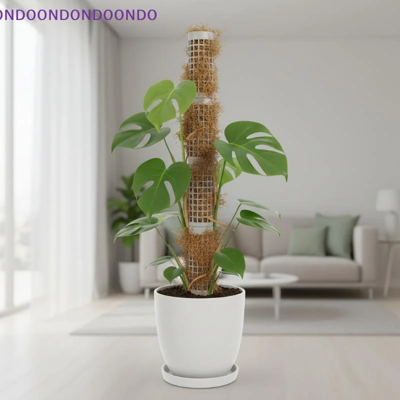 6Pcs Moss Pole Plastic Plant Stand Indoor Climbing Plants Guardian Tutors Pot Moss Stick For Plants Growth Garden Supports
6Pcs Moss Pole Plastic Plant Stand Indoor Climbing Plants Guardian Tutors Pot Moss Stick For Plants Growth Garden Supports