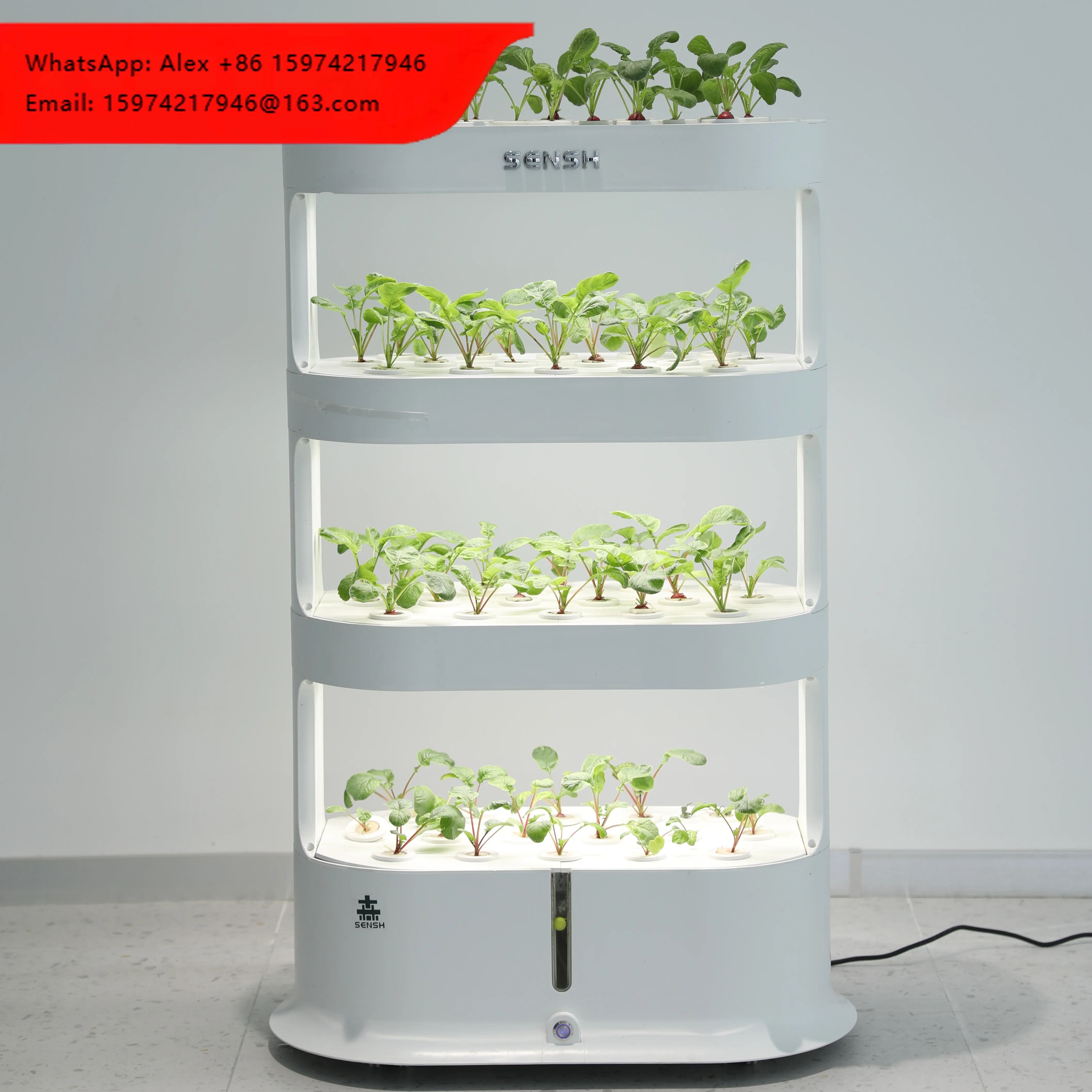 Smart Vertical Hydroponic Garden Home For Strawberry Planter Indoor Planting Position Vegetable Planter Self Watering Flower Pot
Smart Vertical Hydroponic Garden Home For Strawberry Planter Indoor Planting Position Vegetable Planter Self Watering Flower Pot