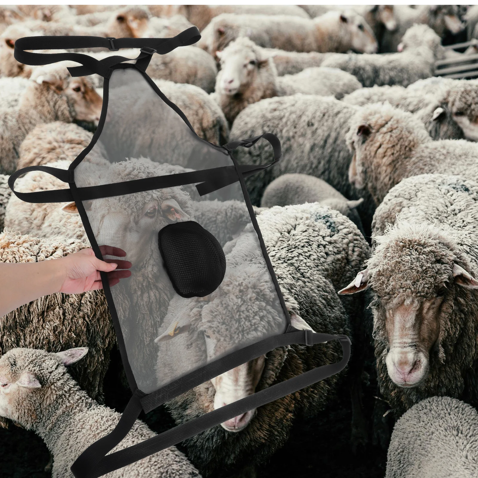 1pc Sheep Goat Anti-mating Apron Breeding Control Cover Smocks Farm Animal Wraps Mesh Material Adjustable Fit Stable Strap
1pc Sheep Goat Anti-mating Apron Breeding Control Cover Smocks Farm Animal Wraps Mesh Material Adjustable Fit Stable Strap