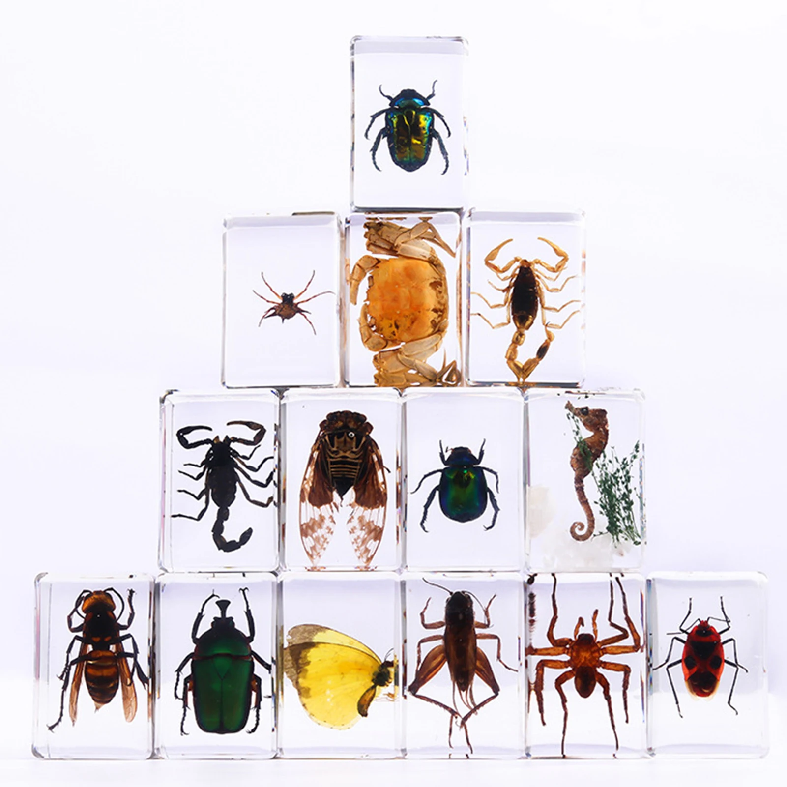 Scorpion Animal Model Teaching Aids Prank Toy for Boys & Kids Fun Educational Toy for Teens
Scorpion Animal Model Teaching Aids Prank Toy for Boys & Kids Fun Educational Toy for Teens