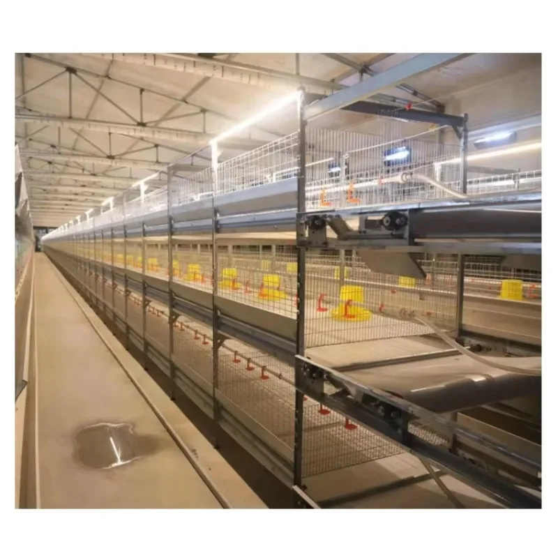 Automatic Battery Layer Chicken Cage Chicken Farming Equipment for Sale
Automatic Battery Layer Chicken Cage Chicken Farming Equipment for Sale