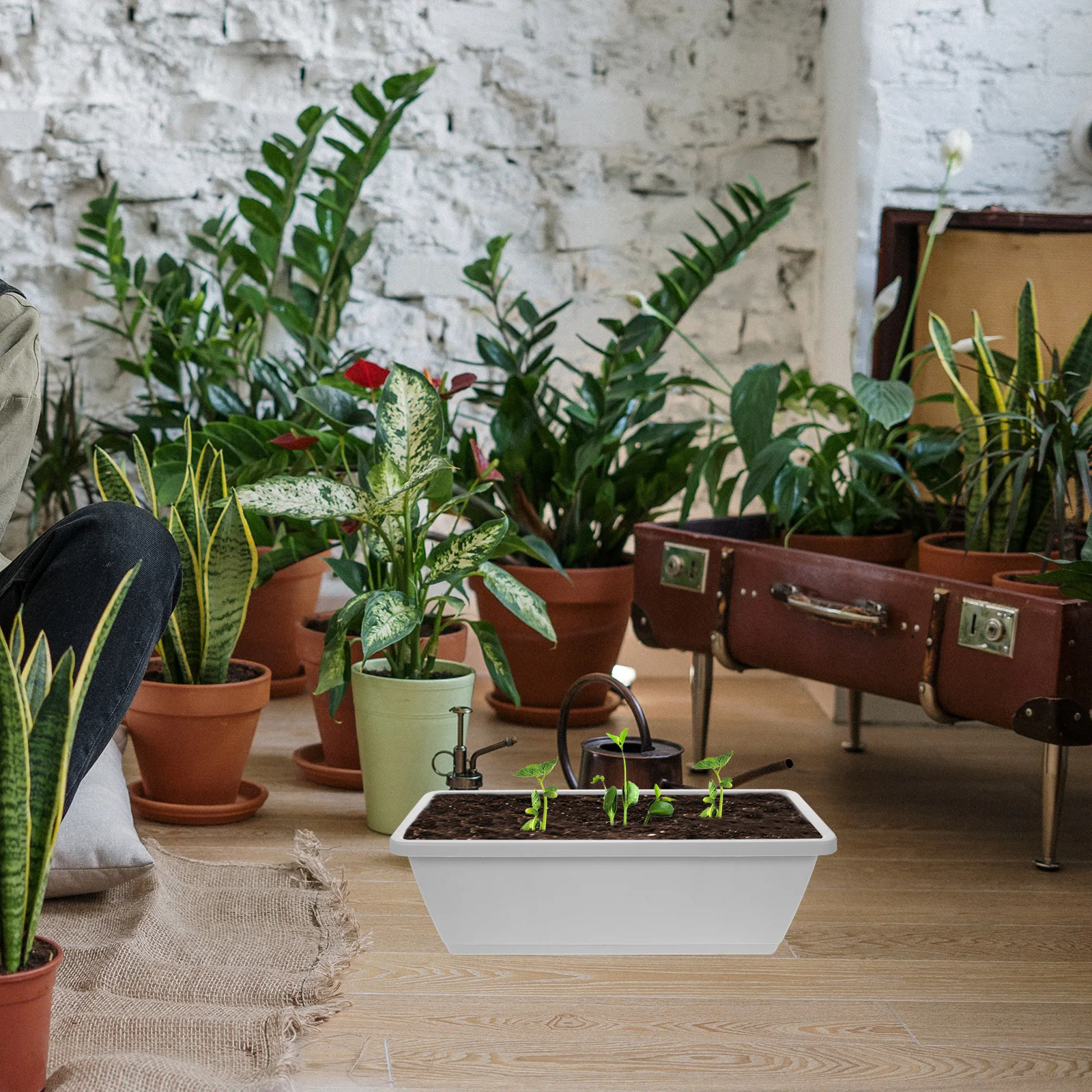 4Sets Vegetable Planter Pots with Tray Rectangular Flower Pot Sturdy Durable Lightweight for Garden Windowsill Flower Planting
4Sets Vegetable Planter Pots with Tray Rectangular Flower Pot Sturdy Durable Lightweight for Garden Windowsill Flower Planting