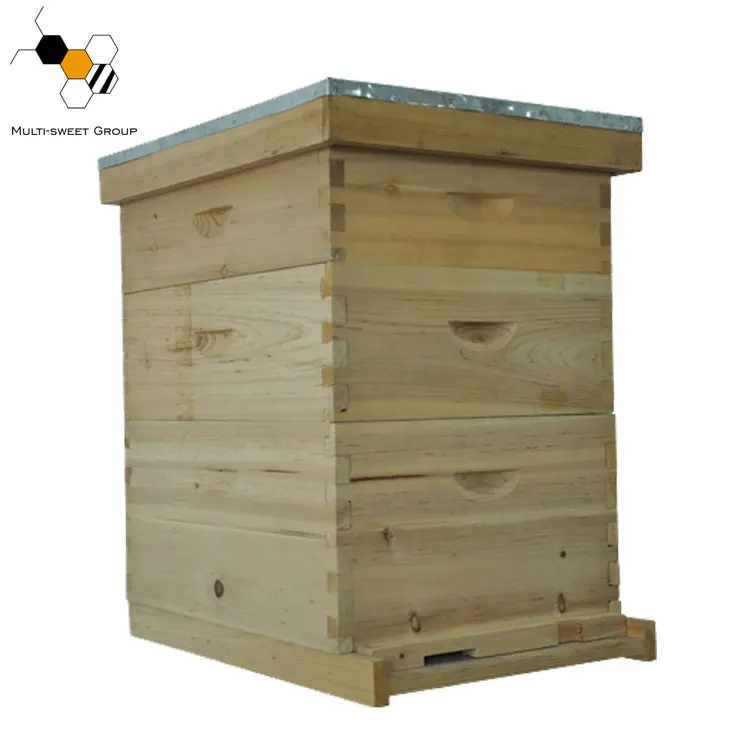 Multi-sweet 10 Frame Three Layers Langstroth Beehive, Cost-effective Bee Hive
Multi-sweet 10 Frame Three Layers Langstroth Beehive, Cost-effective Bee Hive