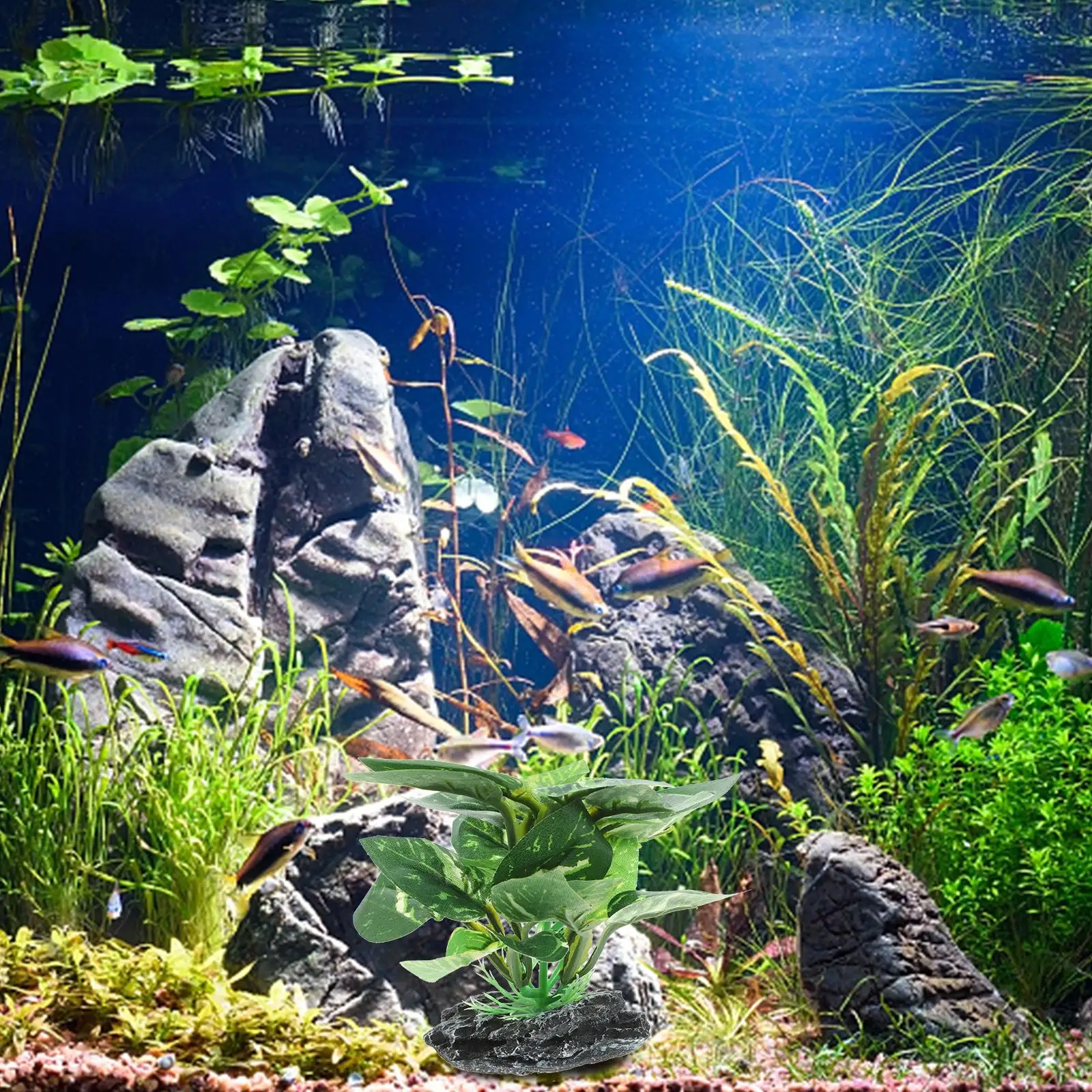 Artificial Plant Decoration for Fish Tank Aquarium Plants Safe Plastic Material Long Lasting Non Fading Fish Tank Supplies Mini
Artificial Plant Decoration for Fish Tank Aquarium Plants Safe Plastic Material Long Lasting Non Fading Fish Tank Supplies Mini