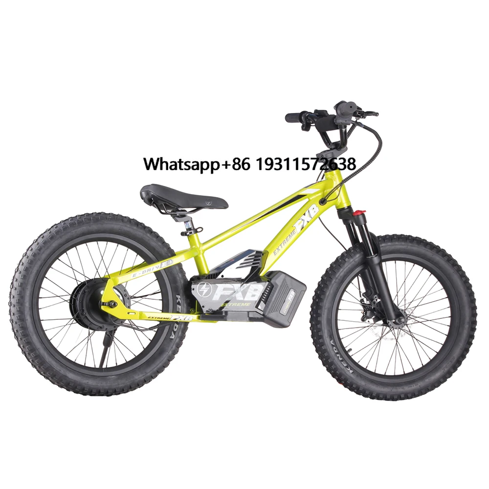 China Electric No Pedals Baby Running Bike Kids Balance Bike Children Walking Balance Bicycle
China Electric No Pedals Baby Running Bike Kids Balance Bike Children Walking Balance Bicycle