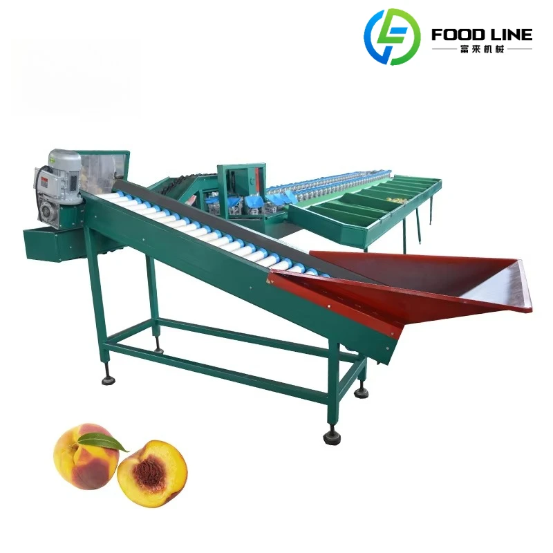 Customized Automatic Fruit Grading Machine Auto Industrial Fruits Weight Sorting Line Machines Equipment Machinery for Sale
Customized Automatic Fruit Grading Machine Auto Industrial Fruits Weight Sorting Line Machines Equipment Machinery for Sale