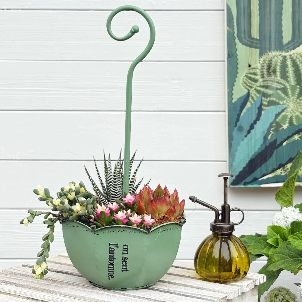 Vintage Umbrella Planter Farmhouses Decorative Wall Mounted Planter European Styles Iron Hanging Flower Pot Garden Decor
Vintage Umbrella Planter Farmhouses Decorative Wall Mounted Planter European Styles Iron Hanging Flower Pot Garden Decor