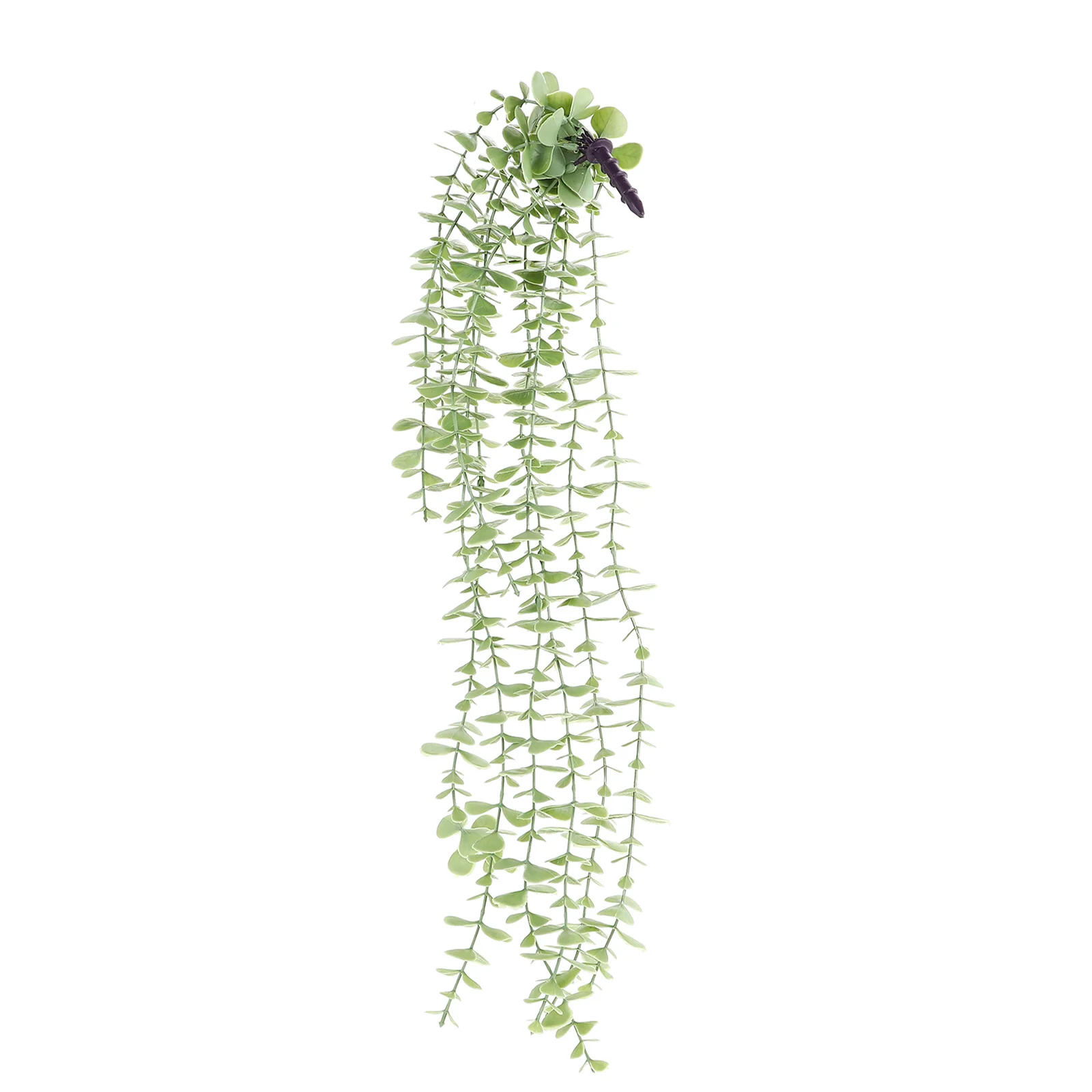 Artificial Eucalyptus Green Plant Hanging Vine Faux Plastic Garden Decoration Fake Green Vine Plastic Hanging
Artificial Eucalyptus Green Plant Hanging Vine Faux Plastic Garden Decoration Fake Green Vine Plastic Hanging