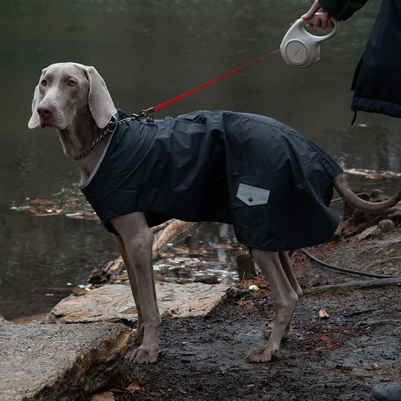Large Dog Hunting Dog Cloak Pet Windbreaker Dog Raincoat With Reflective Strap Pet Outdoor Pet Waterproof Clothes Pets Raincoat
Large Dog Hunting Dog Cloak Pet Windbreaker Dog Raincoat With Reflective Strap Pet Outdoor Pet Waterproof Clothes Pets Raincoat