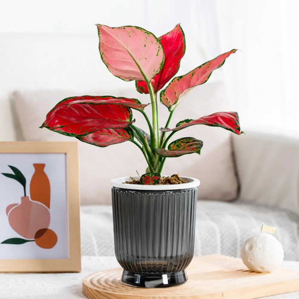 Easy Care Indoor Planter Self Watering Plant Pot with Reservoir Ropes Modern Plastic Indoor Planter Round Striped for Home
Easy Care Indoor Planter Self Watering Plant Pot with Reservoir Ropes Modern Plastic Indoor Planter Round Striped for Home