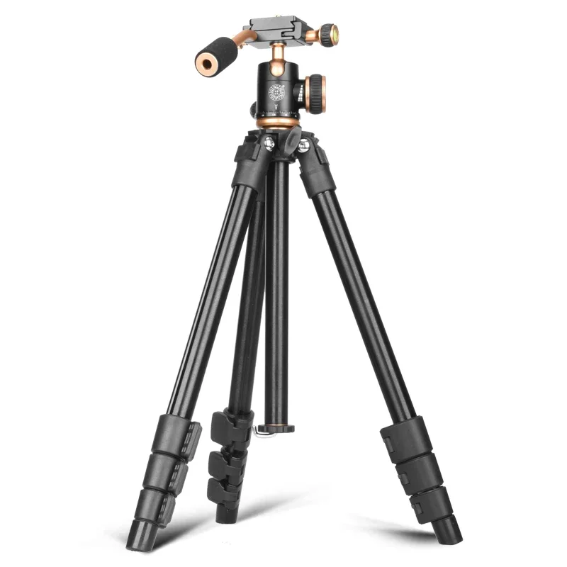 Aluminum Mirrorless Camera DSLR Camera Mini Tripod, Portable Photography, Live Mobile Cradle Head Tripod
Aluminum Mirrorless Camera DSLR Camera Mini Tripod, Portable Photography, Live Mobile Cradle Head Tripod