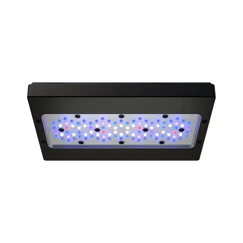 A8 Pro Blue 215W AC 110-240V WiFi App Control Full Spectrum Rectangle Plastic Aquarium Marine LED Saltwater
A8 Pro Blue 215W AC 110-240V WiFi App Control Full Spectrum Rectangle Plastic Aquarium Marine LED Saltwater