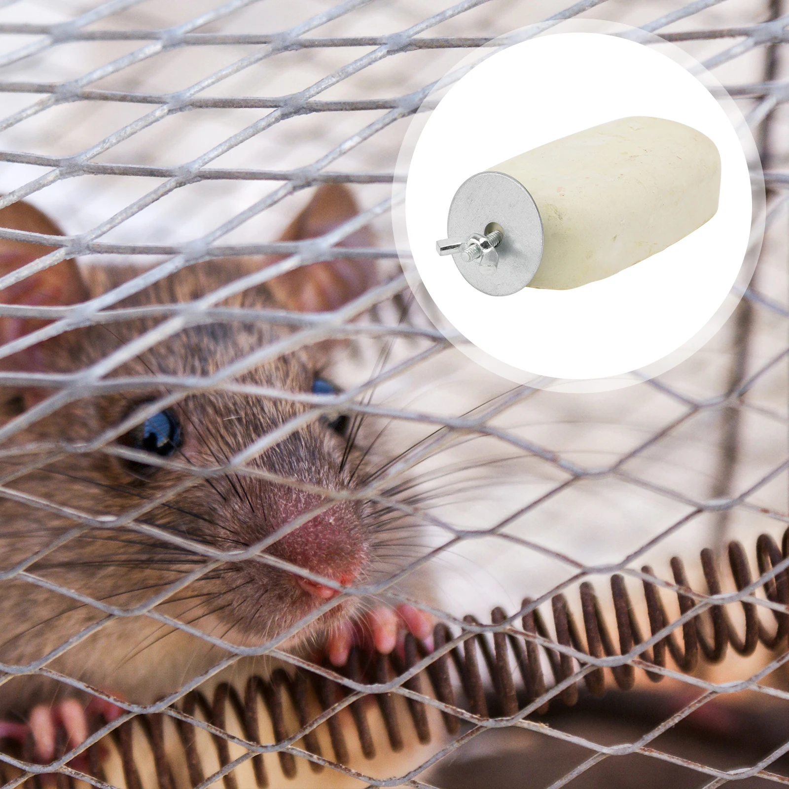 1pc Chew For Hamsters Birds Squirrels Small Animals Cleaning Natural Dental Care Rodent Teething Squirrel Grinding Hamster
1pc Chew For Hamsters Birds Squirrels Small Animals Cleaning Natural Dental Care Rodent Teething Squirrel Grinding Hamster