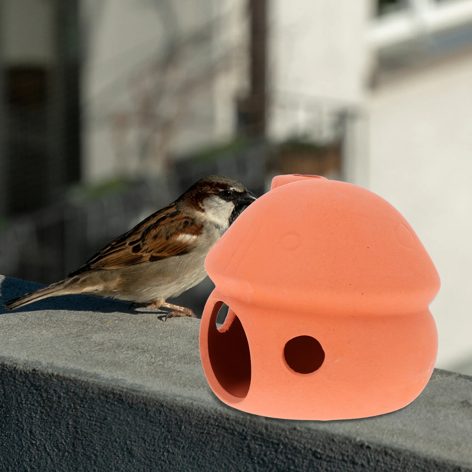 1Pcs Bird Nest Chocolate Creative Parrot Sparrow Breeding Nest Natural Comfortable Pet House Bird Cage Accessory Pet Supply
1Pcs Bird Nest Chocolate Creative Parrot Sparrow Breeding Nest Natural Comfortable Pet House Bird Cage Accessory Pet Supply