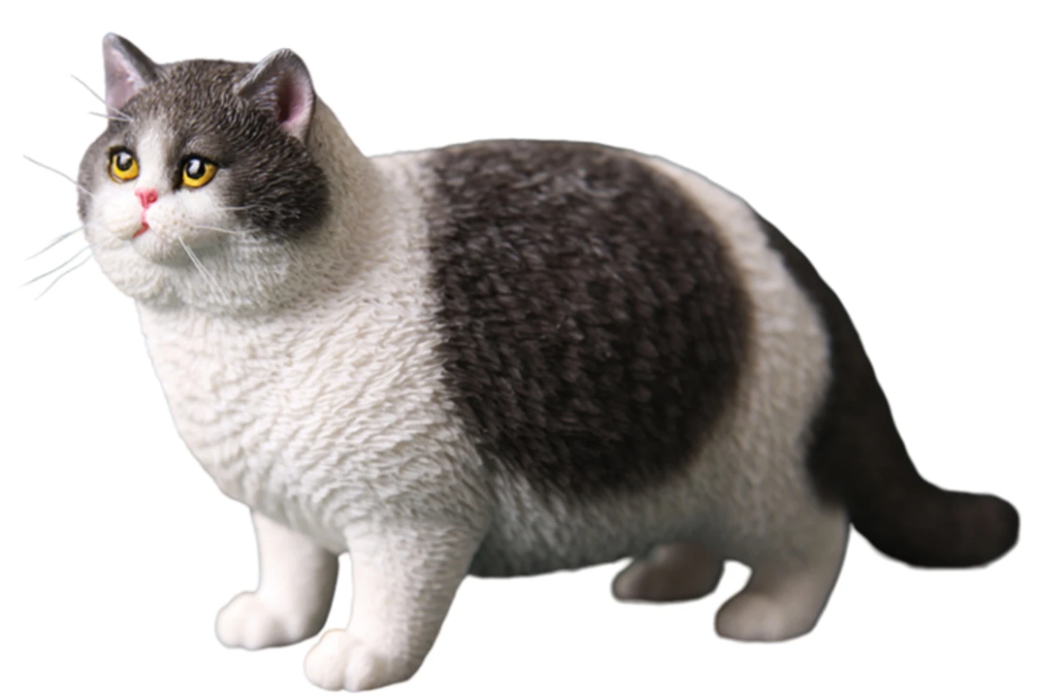 HiPlay JXK Cat British Shorthair Cat Expertly Hand-Painted Lifelike Safe Resin 1:6 Animal Figurine
HiPlay JXK Cat British Shorthair Cat Expertly Hand-Painted Lifelike Safe Resin 1:6 Animal Figurine